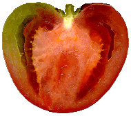 ����H�̎Q�l��