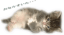 ����H�̎Q�l��