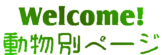 Welcome!
�����ʃy�[�W
